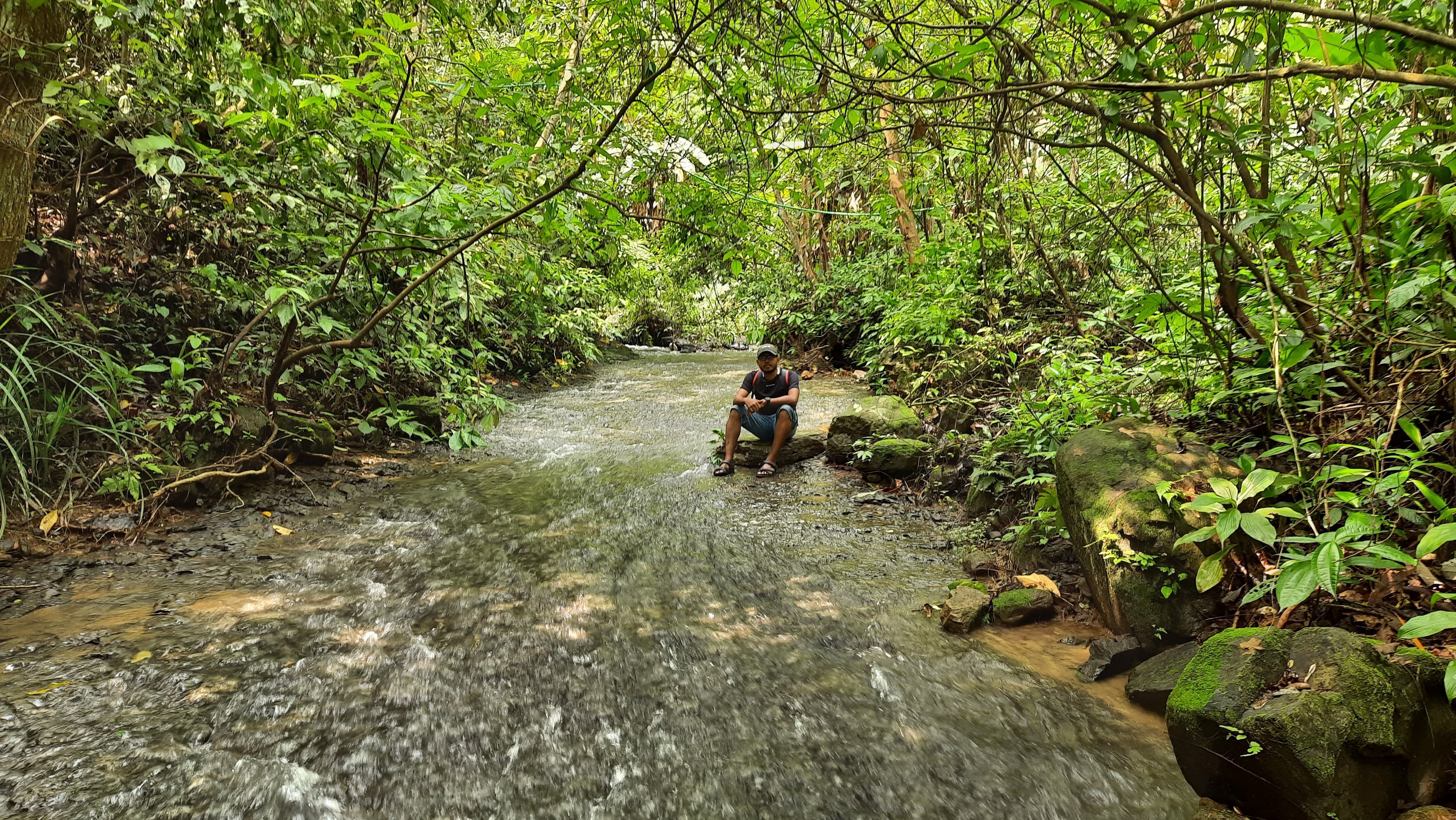 Sreemangal, Exploring the Enchanting Waterfalls and Tea Gardens