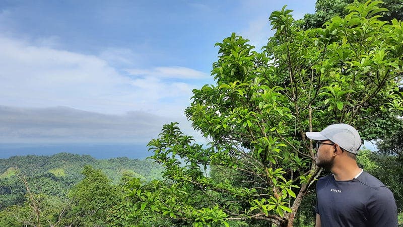 A Tale of Two Magnificent Waterfalls, Langlok and Likhong